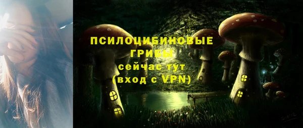 прущие крисы Арсеньев