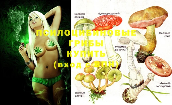 ECSTASY Армянск
