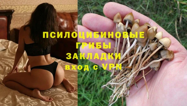 ECSTASY Армянск