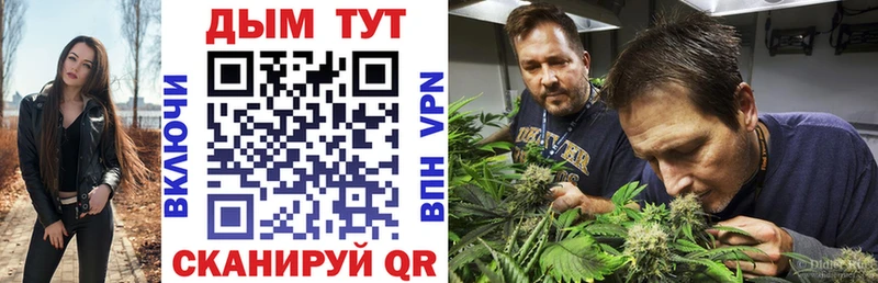 Бошки Шишки семена  Байкальск 